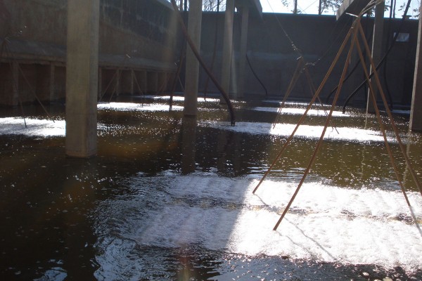 Sistema de aeração por ar difuso tipo tubo removível skid 1
